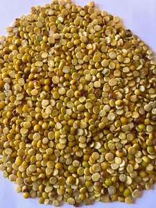 Arroz Lentejuelas Orgánico Seco de Primera Calidad, 30 kg, Cultivo Natural, Valor Nutricional, Cocina Saludable, Proveedor Indio, 12-18 Meses de Caducidad - Product Image 2