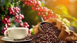 Café Arabica torréfié et moulu de spécialité, directement de l'usine, certifié USDA, seulement 0,1 % de grains noirs et brisés, export en gros - Product Image 6