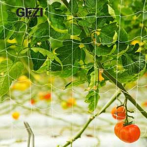 Soft Elastic Rede Extrusada Heavy Duty Biodegradable Cucumber <strong>Bitter</strong> Plant Support Trellis Netting Mesh Nylon pp Pe Hdpe Plastic - Product Image 6