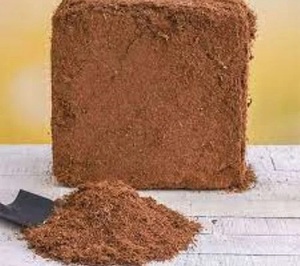 Substrat de culture en fibre de coco pour herbes aromatiques et jardins - Product Image 2