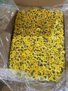 Flor de Crisantemo Seca, Té de Hierbas de Flor de Crisantemo Seca, Flor de Margarita Comestible Natural, Crisantemo Seco de Vietnam 2026 - Product Image 3