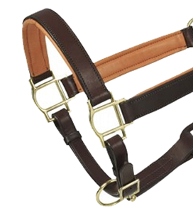 Horsekraft Collier de dressage en cuir italien rembourré, confortable, de qualité supérieure, avec boucle en laiton cousue assortie - Product Image 4