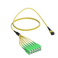 Kabel Patch Fiber Fanout DAMU DM-MPO-SC-OS2-12F MPO 12 Core ke SC APC SM Single Mode Breakout Cable FTTH untuk Jaringan Pusat Data