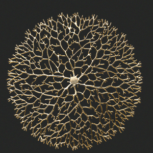 Décoration murale artisanale en laiton et alliage d'étain, motif feuille de lotus en cuivre, forme coralline dorée ronde, à suspendre - Product Image 3