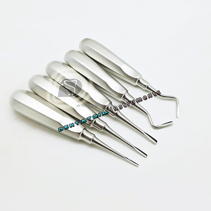 Ensemble de 10 pièces d'élévateurs de racines dentaires avec logo personnalisé Instruments en acier inoxydable avec étui Modèle certifié CE DT-DI-1543 - Product Image 4