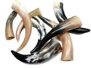 Eco-Friendly Polished Hand Carved Ox Buffalo Horn Viking Medieval <b>Drinking</b> Love Design Matching <b>Stand</b> Leather Holder Beer/Mead - Product Image 3