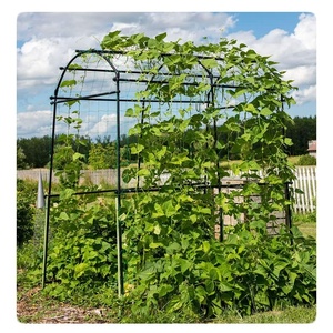 A-Frame Garden <b>Trellis</b> for Climbing Plant Outdoor - Product Image 3