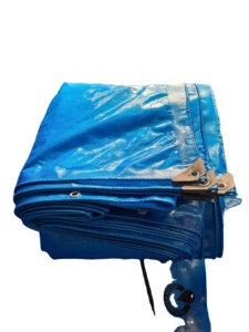Direct Manufacturer Various Sizes Colors PE Tarpaulin <b>Fabric</b> <b>Waterproof</b> Tear-Resistant Heavyweight Plain Style UV Stabilized <b>for</b> - Product Image 5