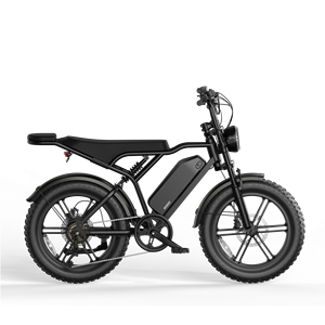 Bicicleta eléctrica de montaña deportiva con neumáticos de nieve Retro 20*4 para el mercado europeo, batería de litio de 48V 15AH, doble suspensión y frenos. - Product Image 3