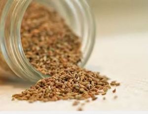 <b>Best</b> Selling Ajwain Essential Oil in Bulk Quantity for Moisturizing Lightening Firming Weight Loss Manufactured at <b>Best</b> Price - Product Image 3