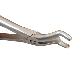 Pinzas de Extracción Dental para Molar Superior, Figura 67A, Acero Inoxidable, Pinzas Quirúrgicas Dentales para Extracción de Dientes - Product Image 5