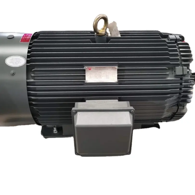 Nema Ac Motor 200HP Nema TEFC 3 Phase AC Motor