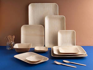 EXPAD Square Palm Leaf <b>Disposable</b> <b>Plates</b> Biodegradable Compostable Eco-Friendly Freezer Safe Dishwasher Safe - Product Image 5