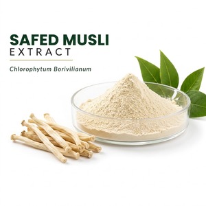 ผงสกัดรากเซฟด์มัสลี (Chlorophytum Borivilianum) เกรดอาหาร สมุนไพรเสริมโภชนาการสำหรับนักกีฬา 60% แบบสเปรย์ดราย บรรจุภัณฑ์แบบ OEM จากอินเดีย ใหม่ - Product Image 1