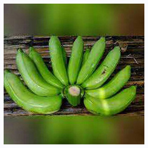 Las mejores bananas verdes 100% de alta calidad, bananas Cavendish frescas, precios económicos para ventas calientes - Product Image 2