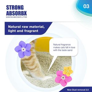 10L แมวเบนโทไนท์แอปเปิ้ลเขียว6.5กก. เป็นมิตรกับสิ่งแวดล้อม - Product Image 2