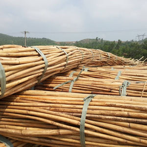 ก้านไม้หวายทำจากไม้ธรรมชาติ - Product Image 1