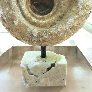 Spécimen minéral brut d'ammonite naturelle avec support en calcite, artisanat et objet de collection - Product Image 4