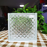 Blocs de verre cristallin transparent de 7,5 pouces, matériaux de construction médicaux avec motif nuage texturé pour usage extérieur et en cuisine