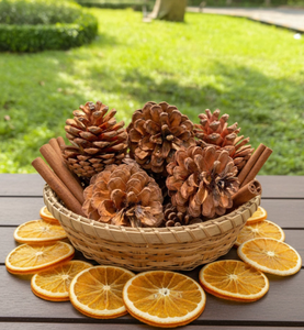 Pignons de pin séchés du Vietnam, matériau botanique naturel pour couronnes de Noël, décoration de mini-arbres, photographie de produits et artisanat - Product Image 6