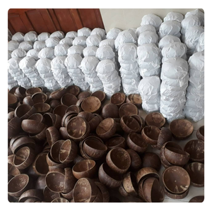 Tazón de Coco Hecho a Mano al por Mayor, Ecológico y Natural, Proveniente de Vietnam - Product Image 4