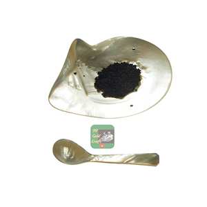 Fabricant polyvalent de plats en nacre du Vietnam pour servir des salades de fruits et accessoires de restauration de luxe les plus vendus - Product Image 5