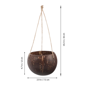 Pot en Coque de Noix de Coco Écologique en Gros, Jardinière Suspendue en Noix de Coco Idéale pour la Décoration de Patio et de Balcon en provenance du Vietnam - Product Image 2