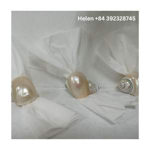 Anillos de Servilleta de Concha de Caracol Natural, Diseño Ecológico y de Lujo para Fiestas, Vajilla Más Vendida 2025 - Product Image 5