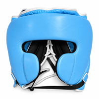 Ensemble de protection pour boxe et sparring, modèle dernier cri, couleur bleu ciel, comprenant gants, protège-tête, protège-génitales, kit d'entraînement et équipement de protection MMA.