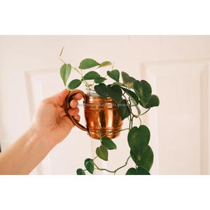 Tasses à bière en cuivre de style européen tasses et tasses personnalisées de qualité authentique réutilisables tasses en cuivre de vente chaude pour le pique-nique et le camping - Product Image 3