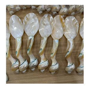 Cuillère en nacre naturelle, manche en coquillage fait main, couverts élégants pour la salle à manger à la maison - Product Image 6