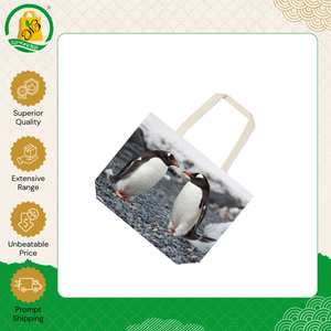 Indian Manufacturer Selling Top Quality <b>Canvas</b> Grocery Tote Bag Reusable Foldable Shopping Tote Bag Digital Printing Bag - Product Image 2