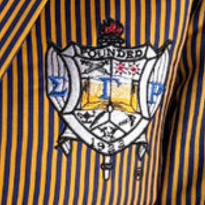 เสื้อเบลเซอร์ลายทางสำหรับผู้หญิง SGRHO สีน้ำเงินทอง ปักตราสัญลักษณ์ชมรม Sigma Gamma Rho ของประเทศกรีซ เหมาะสำหรับงานทางการและธุรกิจ ขายส่ง - Product Image 6