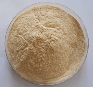 Poudre d'enzyme de papaïne naturelle pour la formule de dentifrice, soins bucco-dentaires, soutien au blanchiment et produits d'hygiène dentaire quotidienne - Product Image 3