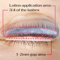 Kit de rehaussement de cils Libeauty en sachet, kit de rehaussement de cils à la kératine, kit de rehaussement de cils coréen personnalisé, kit de permanente de cils végétalien à marque privée