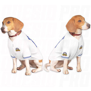 Ropa de Béisbol para Mascotas, Jersey para Perros y Gatos, Otoño Invierno, Cálido y a la Moda, Disfraz Deportivo para Perros, Camisetas Estilo Béisbol, Cómodas y Suaves - Product Image 2