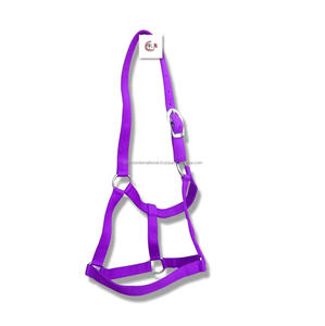 Col licou en cuir de cheval en PVC, Long et Durable et réglable, vente en gros, à bas prix - Product Image 2