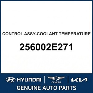 Repuestos y Accesorios para Autos y Camiones Sonata Nuevos 256002E271 - Product Image 1