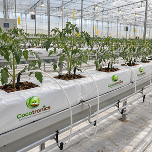 Grow Bags / <b>Coir</b> Slab Carbon Black Powder Solid Chemical Auxiliary Agent for Rubber Industry cocopeat <b>blocks</b> - Product Image 5