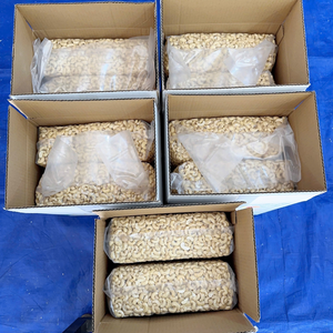 Hot Sale Raw <b>Kernels</b> Cashew <b>Nuts</b> Bulk Ww320 Ww240 Cashew <b>Nut</b> <b>Kernels</b> Santigo Cashew Vietnam Reasonable Price - Product Image 1