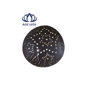Pot suspendu en coquille de noix de coco classique et créatif de haute qualité |   Jardinière écologique de style farmhouse pour patio et jardin - Product Image 1