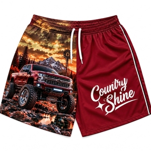 Shorts pour hommes Country Shine avec logo imprimé sur le devant, motif camion et montagne bleu, séchage rapide, cordon de serrage, décontracté, sport - Product Image 2