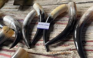 Paire de cornes de bison polies, décoration murale, design Art Déco, grande taille de 10 à 18 pouces, pour mariage, anniversaire - Product Image 3