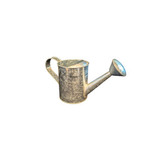 Arrosoir en acier galvanisé avec buse en laiton amovible, forme ovale, pour jardin intérieur et extérieur, à prix avantageux - Product Image 6