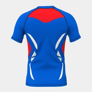 Rashguard à manches courtes OEM écologique (Polyester/Spandex) |   T-shirt d'entraînement de grappling pour MMA et boxe - Product Image 3
