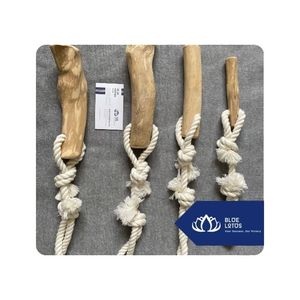 BEST SELLER Bâtonnet en bois de café pour animaux de compagnie, pour mâcheurs agressifs, jouet durable pour chien, Vietnam - Product Image 1
