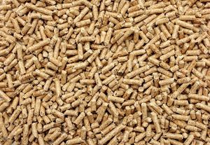 Fabricante y exportador de pellets de madera a granel de Vietnam que suministra combustible de biomasa para calderas de calefacción y plantas de energía globales - Product Image 6