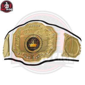 Meilleur fournisseur – Cuir blanc de haute qualité, finition brillante, léger, entièrement personnalisable – Nouvelle arrivée pour championnats d'arts martiaux - Product Image 2