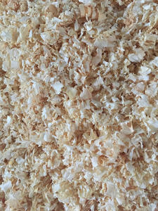 Virutas de madera de pino vietnamita secas en forma de polvo directamente del fabricante y proveedor - Product Image 3