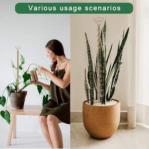 Bâtons d'électroculture en cuivre de qualité supérieure pour améliorer l'énergie du sol et favoriser une croissance saine des plantes à prix de gros - Product Image 4